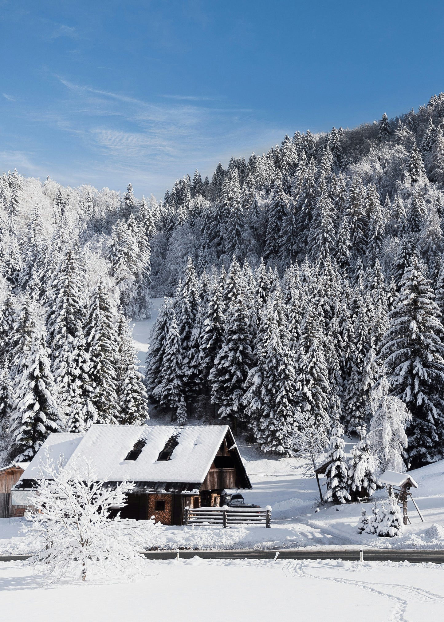 Tableau Montagne enneigée - Chalet